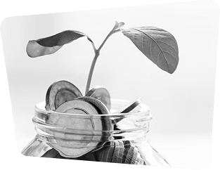 Mutual Funds